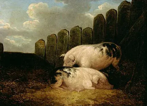 Cover of Animal Farm by George Orwell