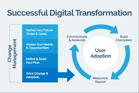 Team adopting a new digital system with change management support
