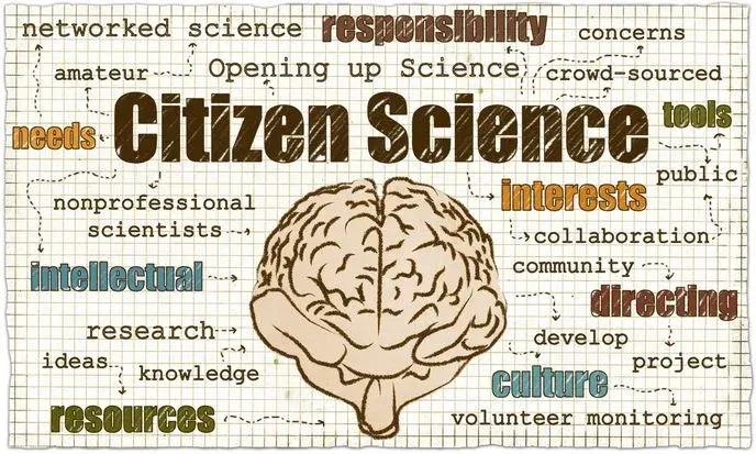 Volunteers contributing data to a citizen science project