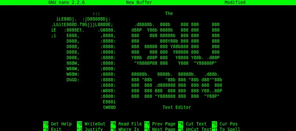 Nano text editor running in a terminal