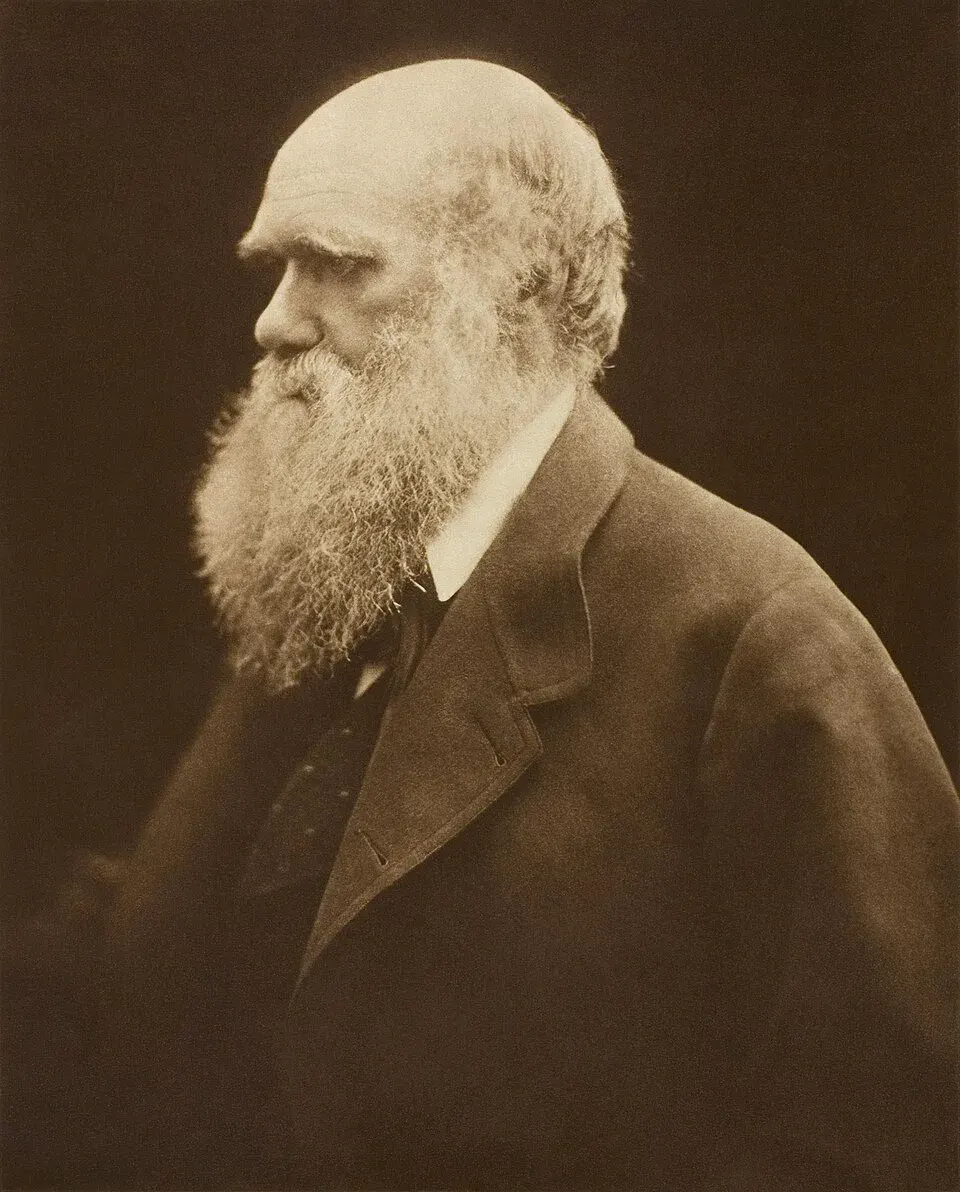 Cover of On the Origin of Species by Charles Darwin