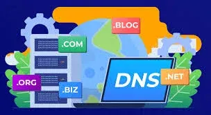 DNS records being configured for a domain