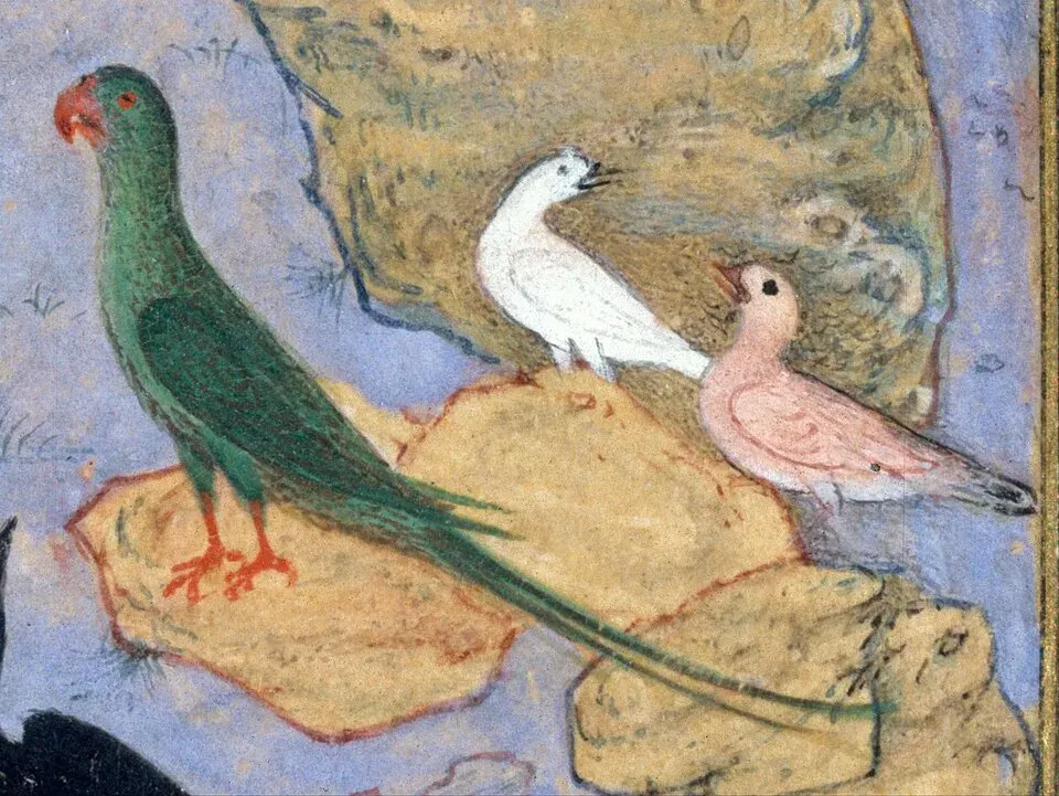 Cover of The Conference of the Birds by Farid ud-Din Attar