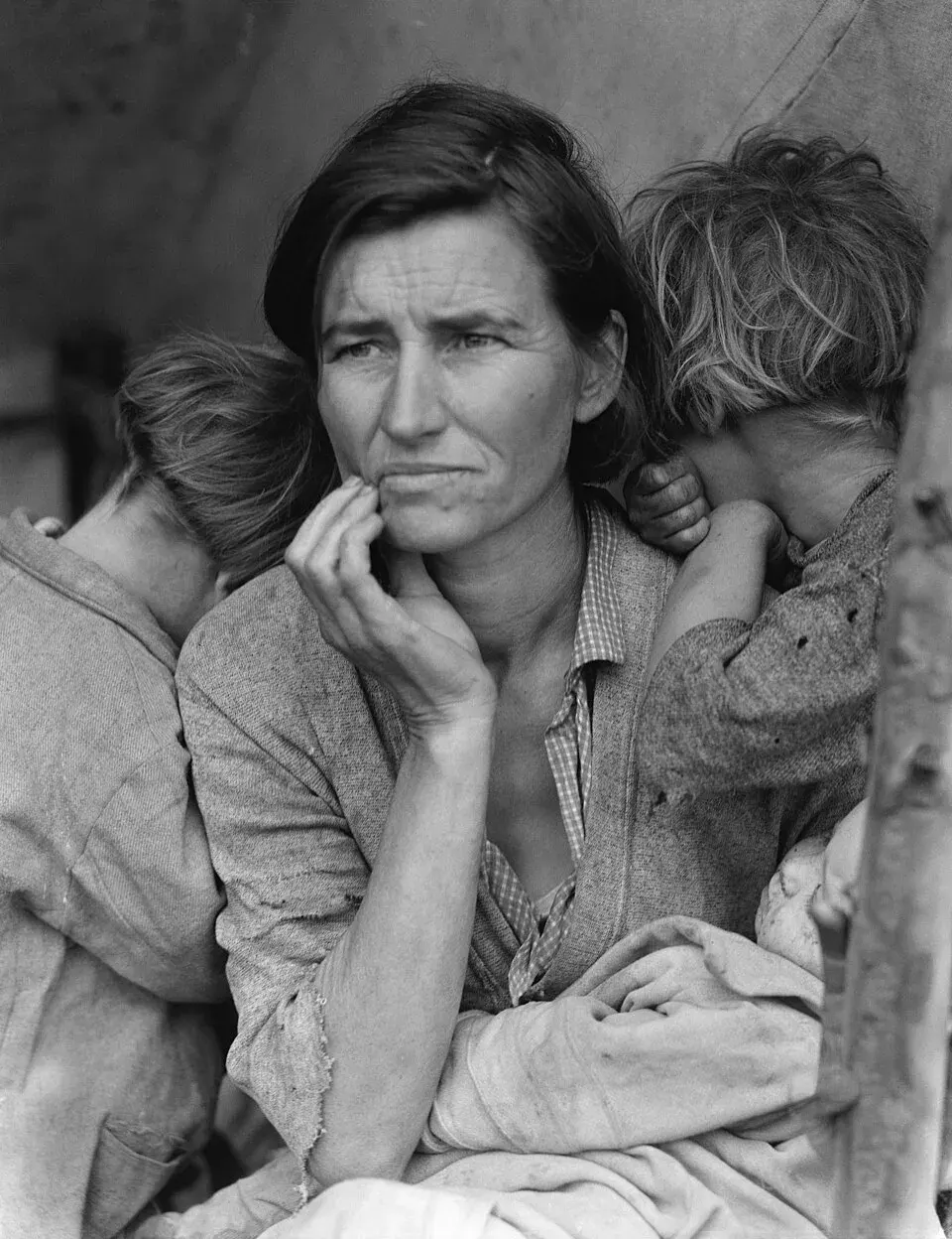 Cover of The Grapes of Wrath by John Steinbeck