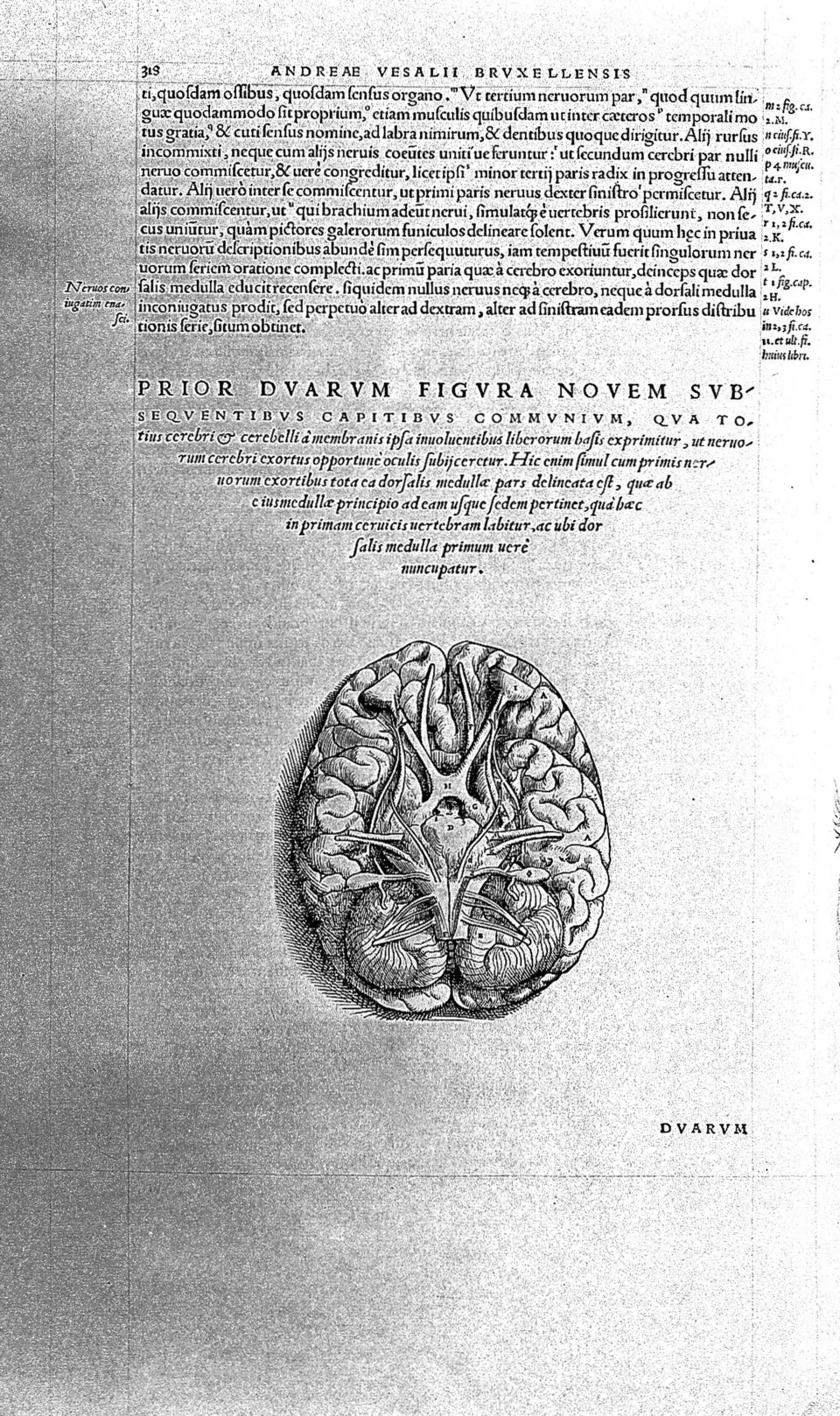 Cover of Thinking, Fast and Slow by Daniel Kahneman
