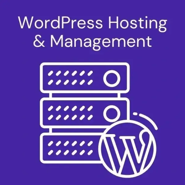 WordPress dashboard and hosting setup